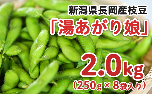 75E-08新潟県長岡産枝豆2.0kg【湯あがり娘250g×8袋入り】 - 新潟県長岡市｜ふるさとチョイス - ふるさと納税サイト