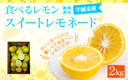 食べるレモン スイートレモネード 2kg レモン フルーツ 果物 柑橘 熊本県宇城市 ふるさと納税 ふるさとチョイス