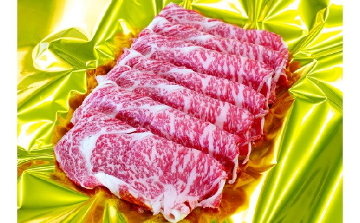 サンプル写真