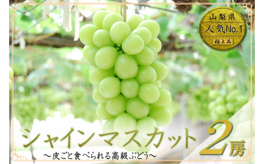 【お楽しみセット付】 山梨県産 シャインマスカット２房 （1.0kg以上）のサムネイル