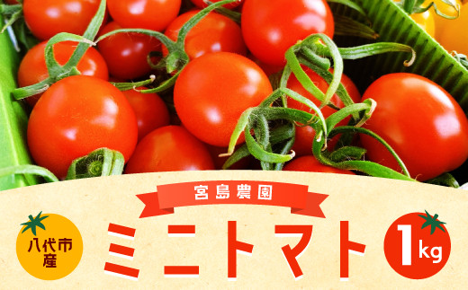 八代市産 宮島農園 ミニトマト 1kg プチトマト 新鮮 熊本県八代市 ふるさと納税 ふるさとチョイス