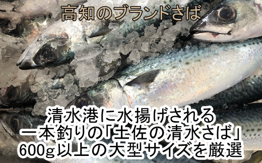 B 57 土佐の清水さば獲れたて干物5枚セット 高知県土佐清水市 ふるさと納税 ふるさとチョイス