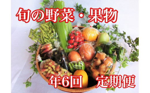 高知県須崎市産 旬の野菜 果物セット 年6回 定期便 Me00 高知県須崎市 ふるさと納税 ふるさとチョイス