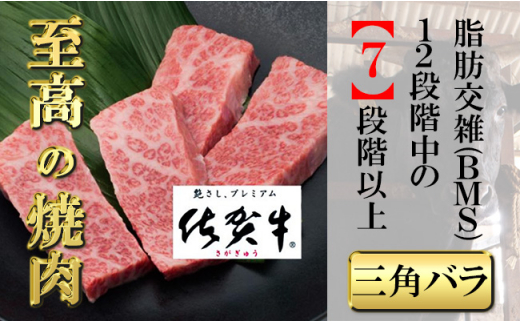 yꌧg샖zꋍJr[iOpoj300g yt[z[FAZ029]