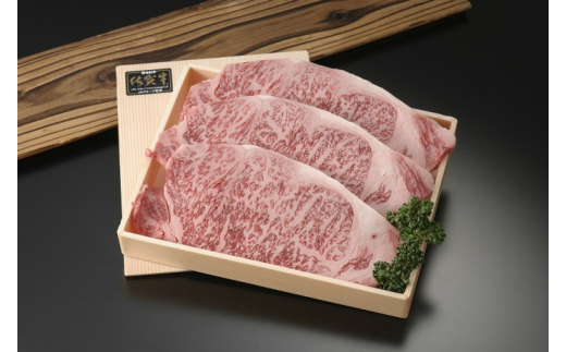 yꌧg샖zꋍ[XXe[L 600g(200g×3)yAX^rX^z[FAM002]