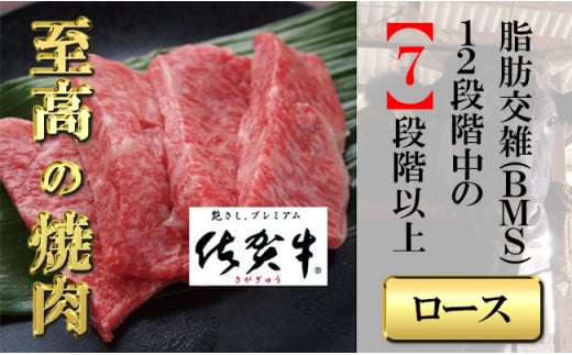 yꌧg샖zꋍ[X؂400 yt[z[FAZ027]