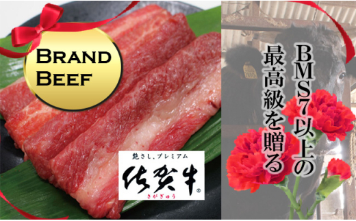 yꌧg샖zꋍo؂300g yt[z[FAZ037]