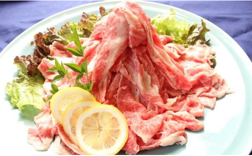 yꌧg샖zYa1.1kg ؂藎Ƃyplanz[FBF003]