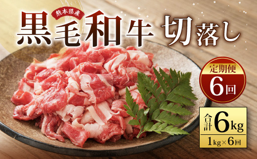 【定期便6回】熊本県産 黒毛和牛 切り落し 1,000g(1kg)牛肉