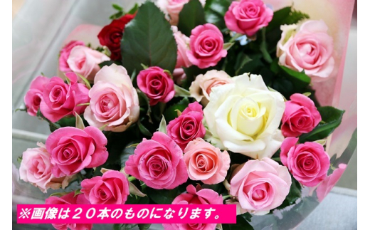 [№5672-0391]【約15本】生産者直送　有機栽培で育った朝切りバラの花束のサムネイル