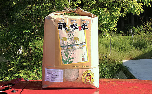 【定期便 3回】令和2年産 熊本県産 鶴喰米 つるばみまい 10kg(5kg×2袋)