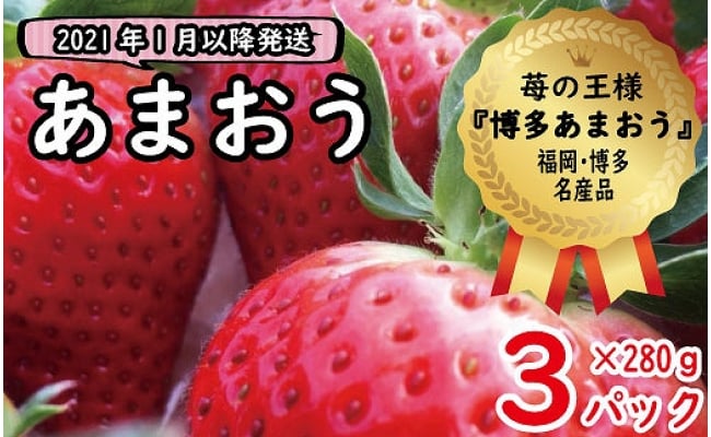 いちごの王様 福岡名産あまおう 福岡県福岡市 ふるさと納税 ふるさとチョイス