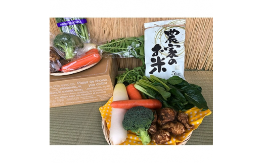 玄米5kg＞栽培期間農薬不使用『身体が喜ぶ野菜とお米』詰め合わせ