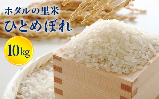 《先行予約》令和2年度新米【ホタルの里米】ひとめぼれ精米10kgのサムネイル