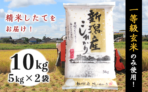 31-07新潟県産コシヒカリ10kg（5kg×2袋）のサムネイル