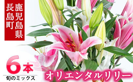 オリエンタルリリー ユリ 旬のミックス ６本 Miyaji 333 鹿児島県長島町 ふるさと納税 ふるさとチョイス