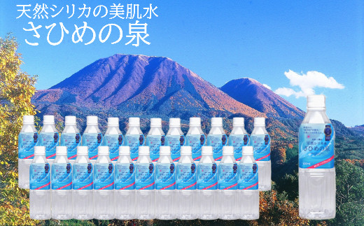 春先取りの ふるさと納税 ナチュラルミネラルウォーター さひめの泉 B032 1 ペットボトル バッグインボックス ミネラルウォーター 水 水 ミネラルウォーター Popschooltwenterand Nl