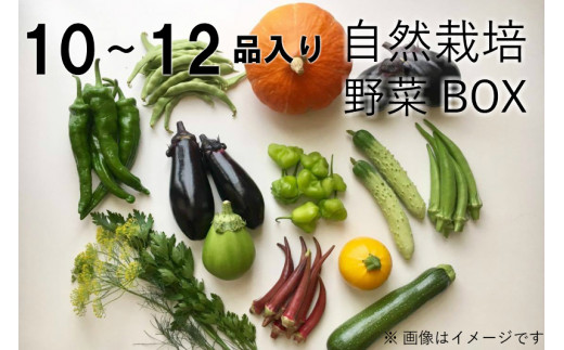 年のベスト 奈良県の伝統的な野菜味間大和共通してに入るのは 最優秀ピクチャーゲーム