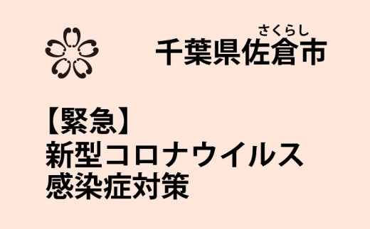 [№5719-0119]新型コロナウイルス感染症対策（返礼品なし）のサムネイル
