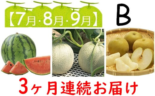 7 8 9月 B 季節のくだもの3ヶ月定期便 山形県三川町 ふるさと納税 ふるさとチョイス