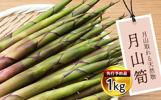 ミカン様用　月山筍　姫竹　わらびセット　 2026年　無農薬野菜　山菜 sd1_8bf8d450139de522f8c7d97b90