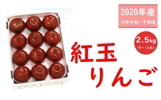【先行受付】紅玉りんご_R2年産_2.5kg_10月中旬頃からお届けのサムネイル