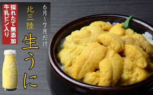 北三陸の生うには今だけ！無添加採れたて「生うに」そのままビン詰180ｇのサムネイル