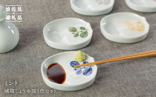 波佐見焼 ミント減塩しょうゆ皿5色セット 西海陶器 Oa119 長崎県波佐見町 ふるさと納税 ふるさとチョイス