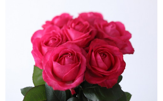 Flower Bouquet バラのブーケ 10本 濃いピンク系 滋賀県守山市 ふるさと納税 ふるさとチョイス