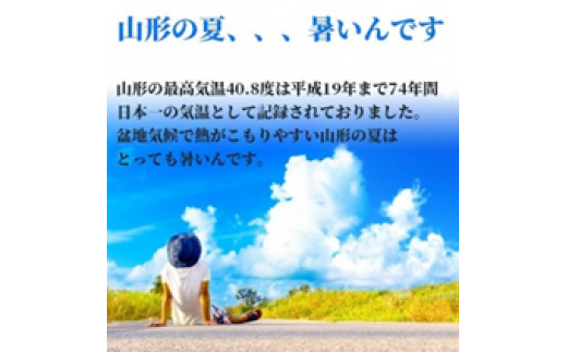 山形名物冷たいラーメン人前スープ付 2人前1袋 10袋 みうら食品提供 A 0748 山形県東根市 ふるさと納税 ふるさとチョイス