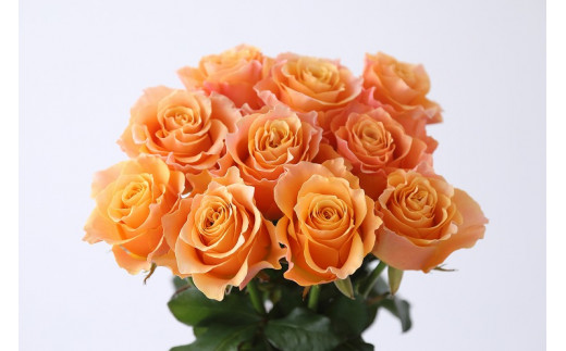 yꌧRszyցF12Jz}o璼IFlower Bouqueti25{̉ԑjIWn