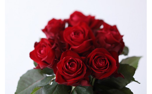 yꌧRszyցF12Jz}o璼IFlower Bouqueti10{̉ԑjԌn