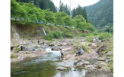 22】大入川漁協【あゆ釣年券】 - 愛知県豊根村｜ふるさとチョイス - ふるさと納税サイト