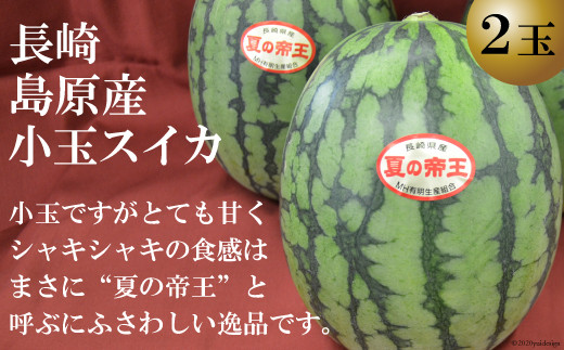 Ae024 期間限定 長崎島原産小玉スイカ 夏の帝王 ２玉 長崎県島原市 ふるさと納税 ふるさとチョイス