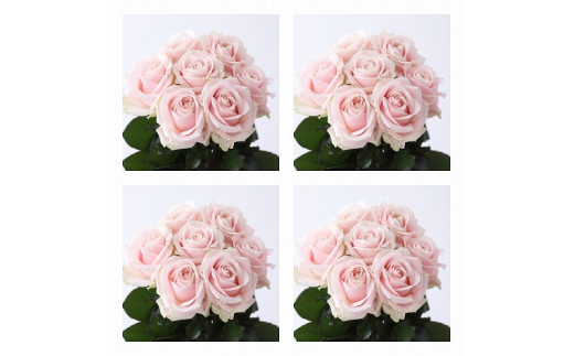 yꌧRszy{100{Iz}o璼IFlower Bouqueti25{̉ԑ×SP[XjWsN