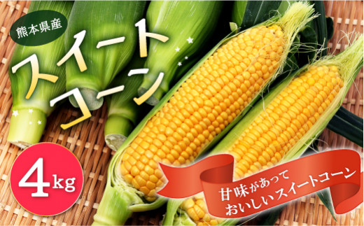 熊本県産 スイートコーン 4kg 高糖度 朝採り 新鮮 とうもろこし
