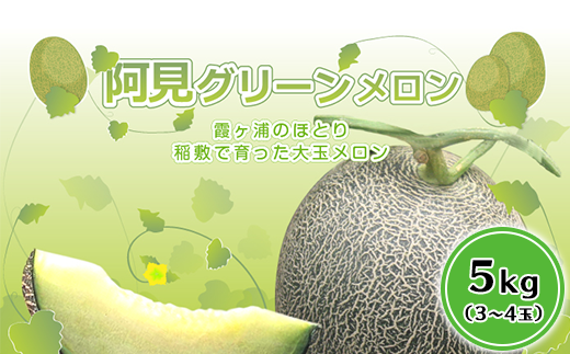 茨城県産グリーンメロン5kg（３～４玉）【大地のめぐみ】のサムネイル