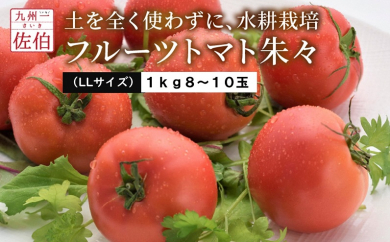 フルーツトマト朱々 Llサイズ 1ｋｇ 8 10玉 大分県佐伯市 ふるさと納税 ふるさとチョイス