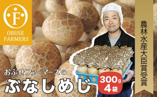 Fh 50 おぶせファーマーズ ぶなしめじ300g 4袋 長野県小布施町 ふるさと納税 ふるさとチョイス