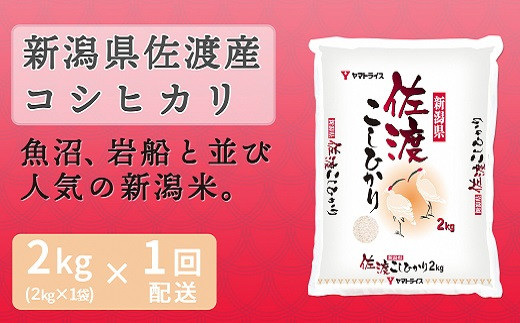 全国のお米食べ比べ 2kg 6回定期便 安心安全なヤマトライス H074 229 愛知県碧南市 ふるさと納税 ふるさとチョイス