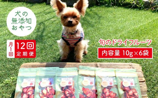 6袋 12回定期便 犬の無添加おやつ お砂糖不使用 旬のドライフルーツ定期便 ペットフード 吉野ケ里まちづくり会 Fbk014 佐賀県吉野ヶ里町 ふるさと納税 ふるさとチョイス