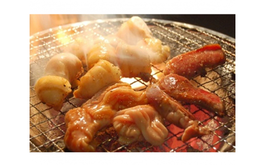 No.163 国産牛ホルモン詰合せ　計約600g ／ 焼肉 小腸 アカセンマイ ミノ ココロ 大阪府 特産のサムネイル