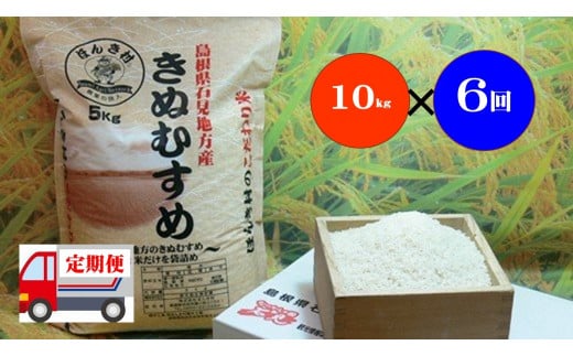 定期便】【令和5年産】石見産きぬむすめ 60kg 6ヶ月（10kg×6回コース