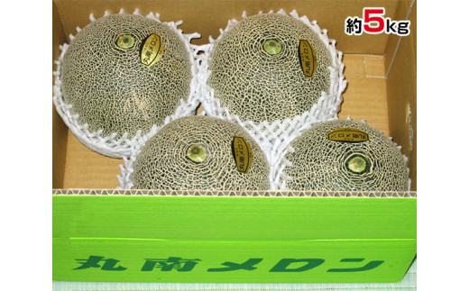 No.111 丸南メロン　約5kg ／ フルーツ 果物 千葉県のサムネイル