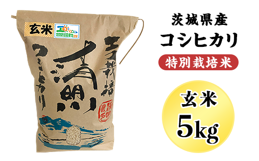 20-20茨城県産コシヒカリ特別栽培米5kg（玄米）【大地のめぐみ】のサムネイル