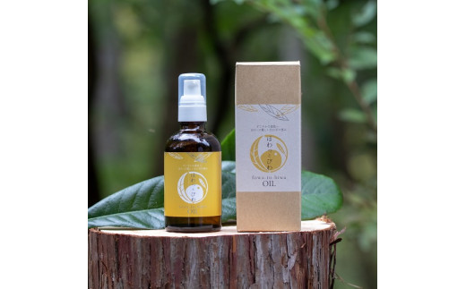 日本で唯一の15インチゲージの鉄道を 再び走らせたい 富士山と四季の自然を楽しめるsl復活プロジェクト ふるさと納税のガバメントクラウドファンディングは ふるさとチョイス