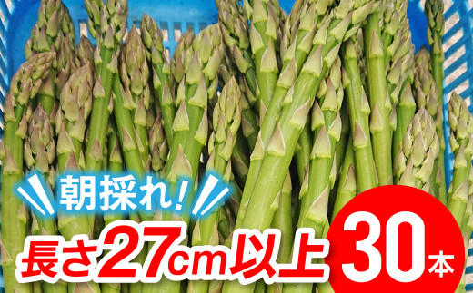 朝採りアスパラ約1kg