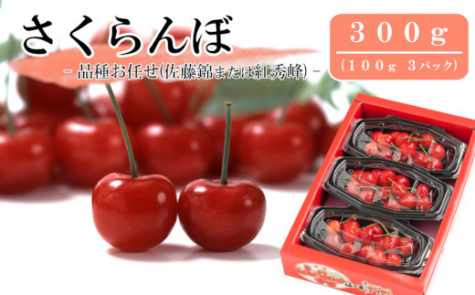【新型コロナ支援】さくらんぼ_300g（バラ詰め100g×3パック）_品種お任せ（佐藤錦または紅秀峰）のサムネイル