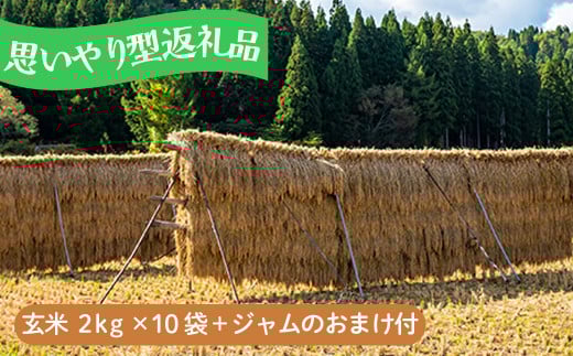 【思いやり型】お米20kg あきたこまち玄米「大野集落の米」2kg×10袋