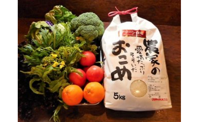 手作りミートソースとサラダ野菜セット（半年パスポート）　大洲市　ふるさと納税　愛媛県　通販